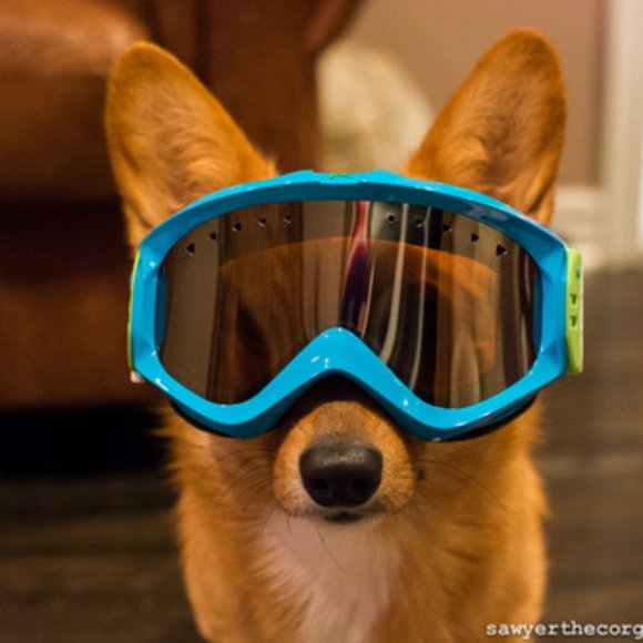 Meet your Posher, Laura - Picture 2 of 5